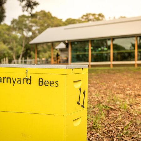 Barn Hives Yallingup Bagian luar foto