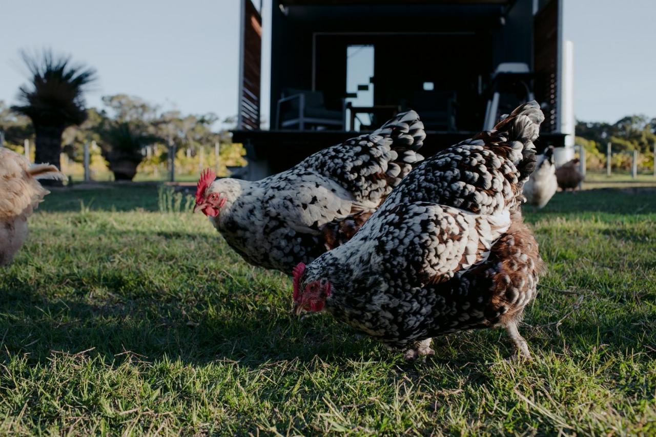 Barn Hives Yallingup Bagian luar foto