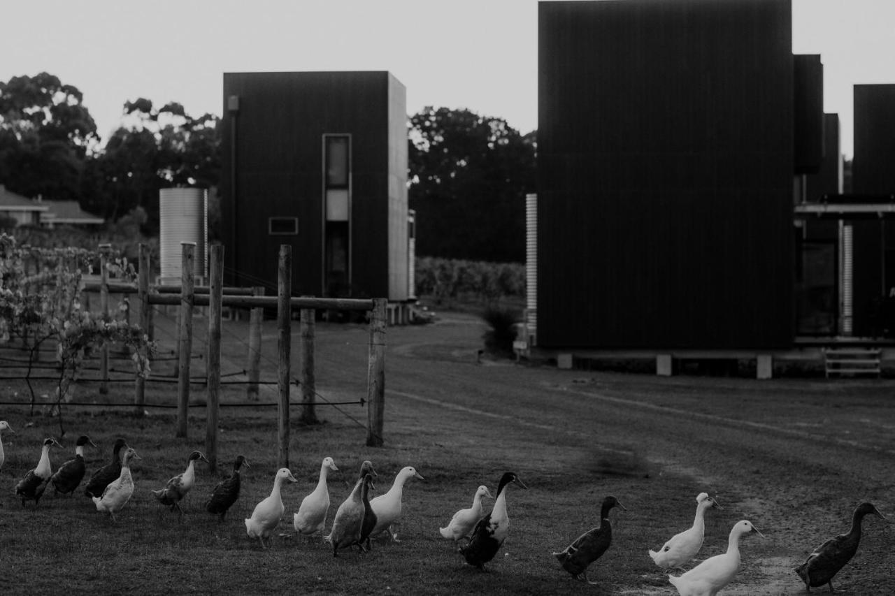 Barn Hives Yallingup Bagian luar foto