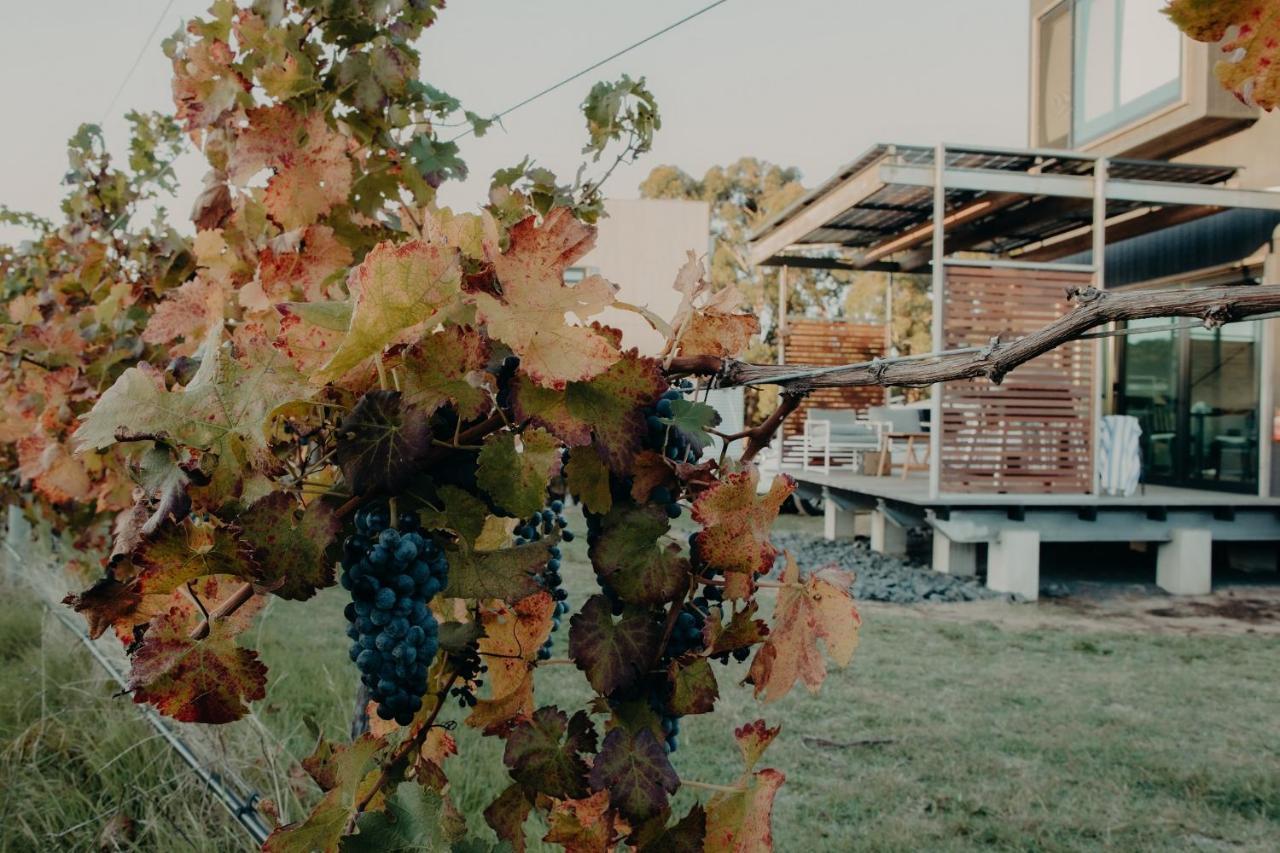 Barn Hives Yallingup Bagian luar foto