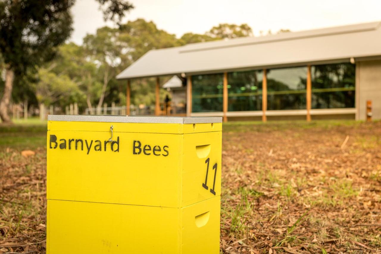 Barn Hives Yallingup Bagian luar foto